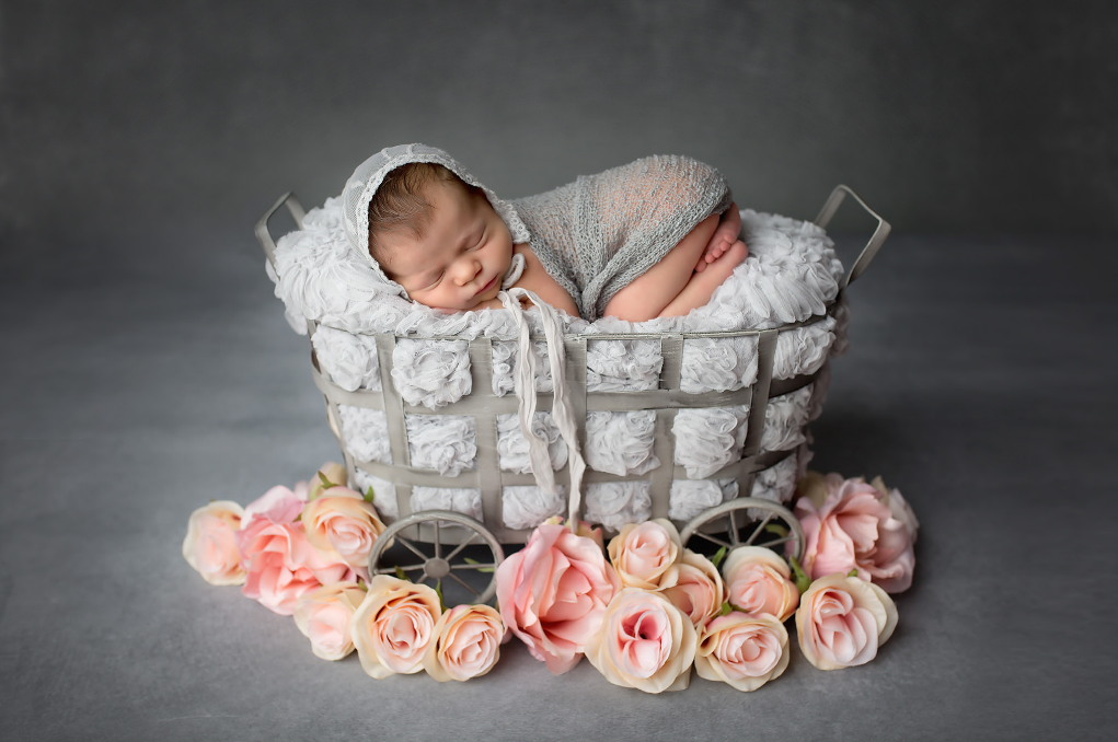 Newborn Photography Safety Guidelines All Professional Photographers