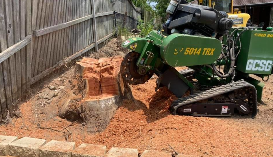 Stump Grinding Gold Coast