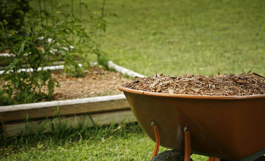 mulch on the Gold Coast