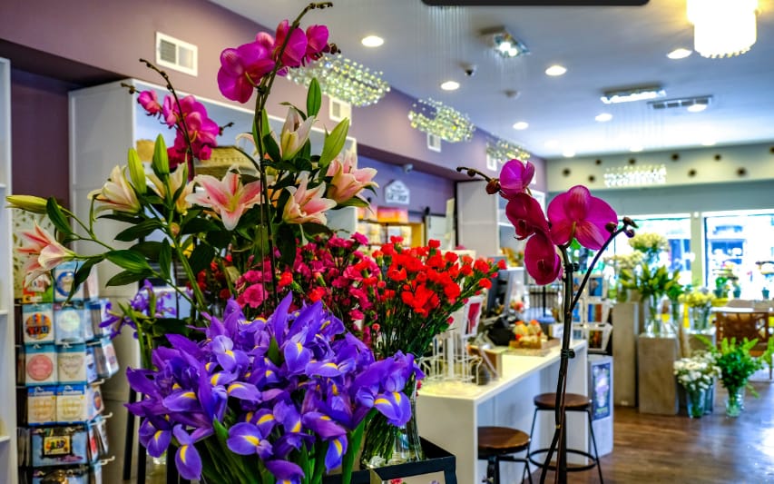 Wholesale Flowers Gold Coast